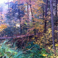 Natural Bridge State Park